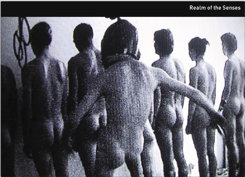 Realm of the Senses